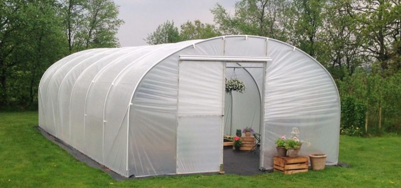 polytunnel in a garden