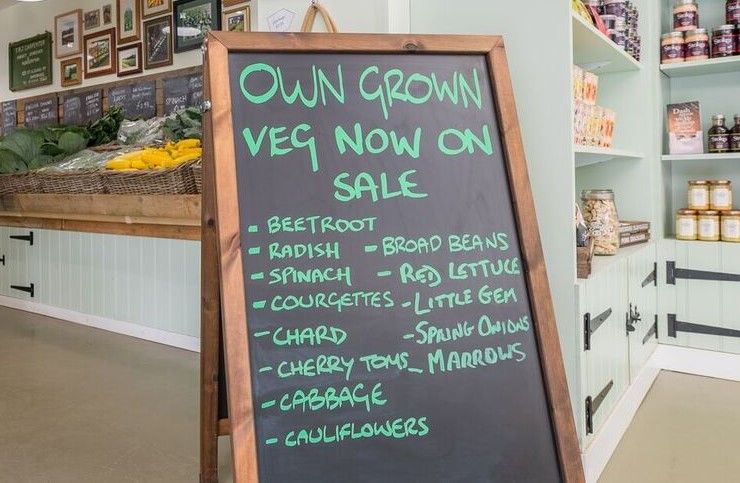 own grown veg sale now on