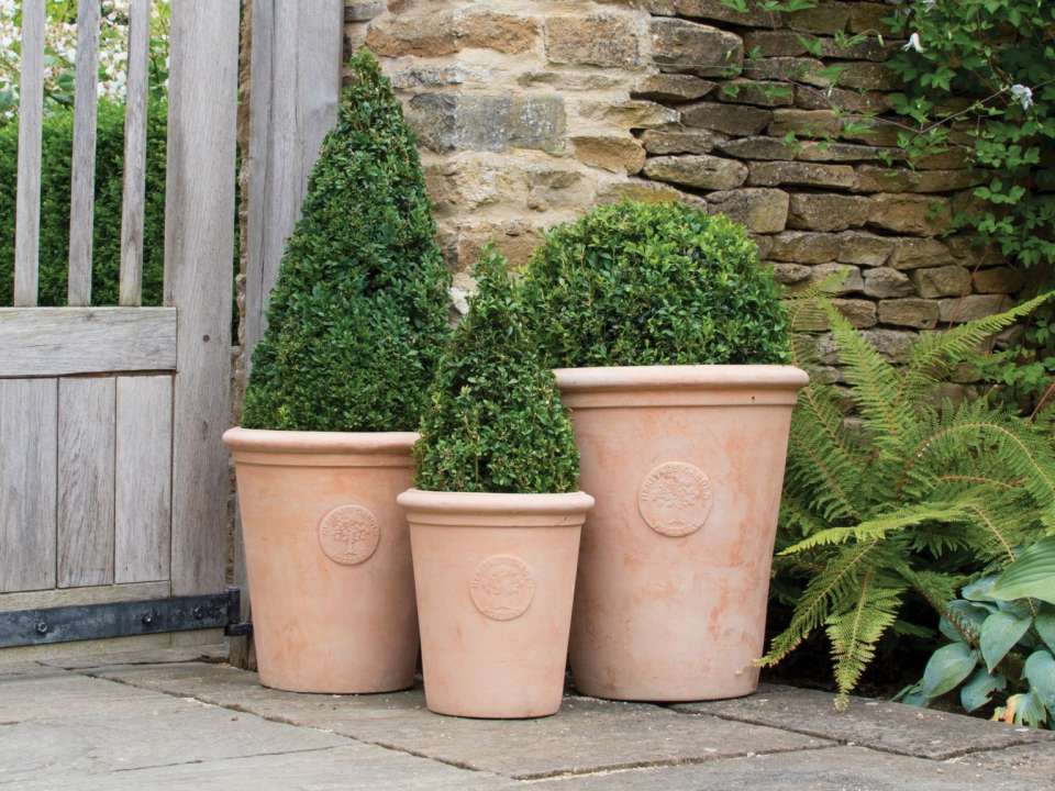 3 planted terracotta pots beside a wall & gate