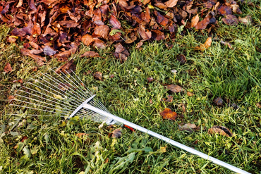Give Your Lawn Some Autumn TLC