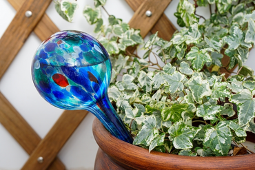How to Use Watering Globes for Healthy Houseplants