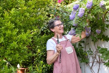 How to Prune Wisteria for Healthy Growth and Spectacular Flowers