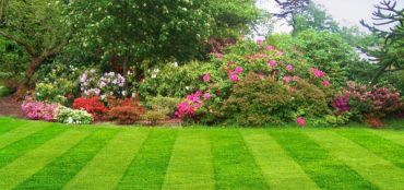Simple Tricks to Keep Your Lawn in Tip-Top Condition