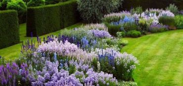 Tips for Planting a Perennial Garden