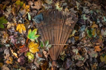 8 Tips for Preparing your Garden for Autumn