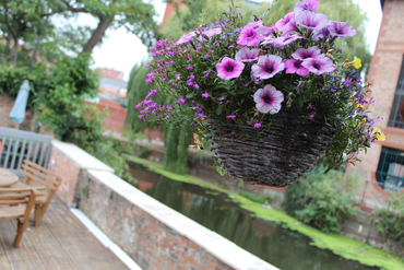 Top Tips To Watering Hanging Baskets