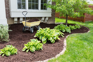 Mulch Your Soil This Autumn And Give Your Garden A Head Start