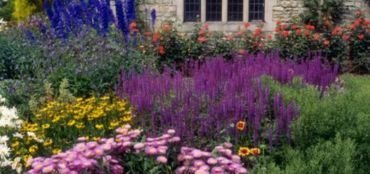 Why Now is the Perfect Time to Plant Herbaceous Perennials