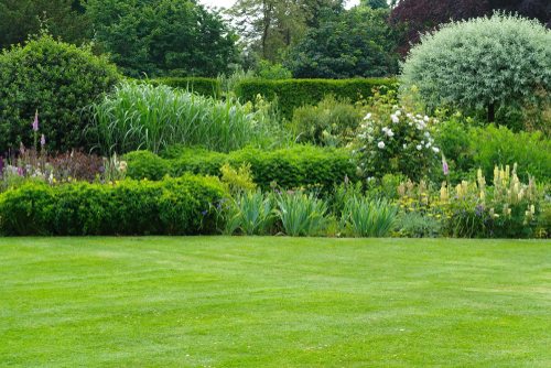 lawn in a garden