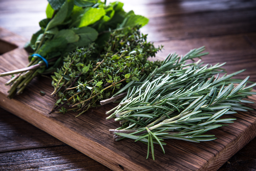 culinary herbs - thyme, rosemary, sage